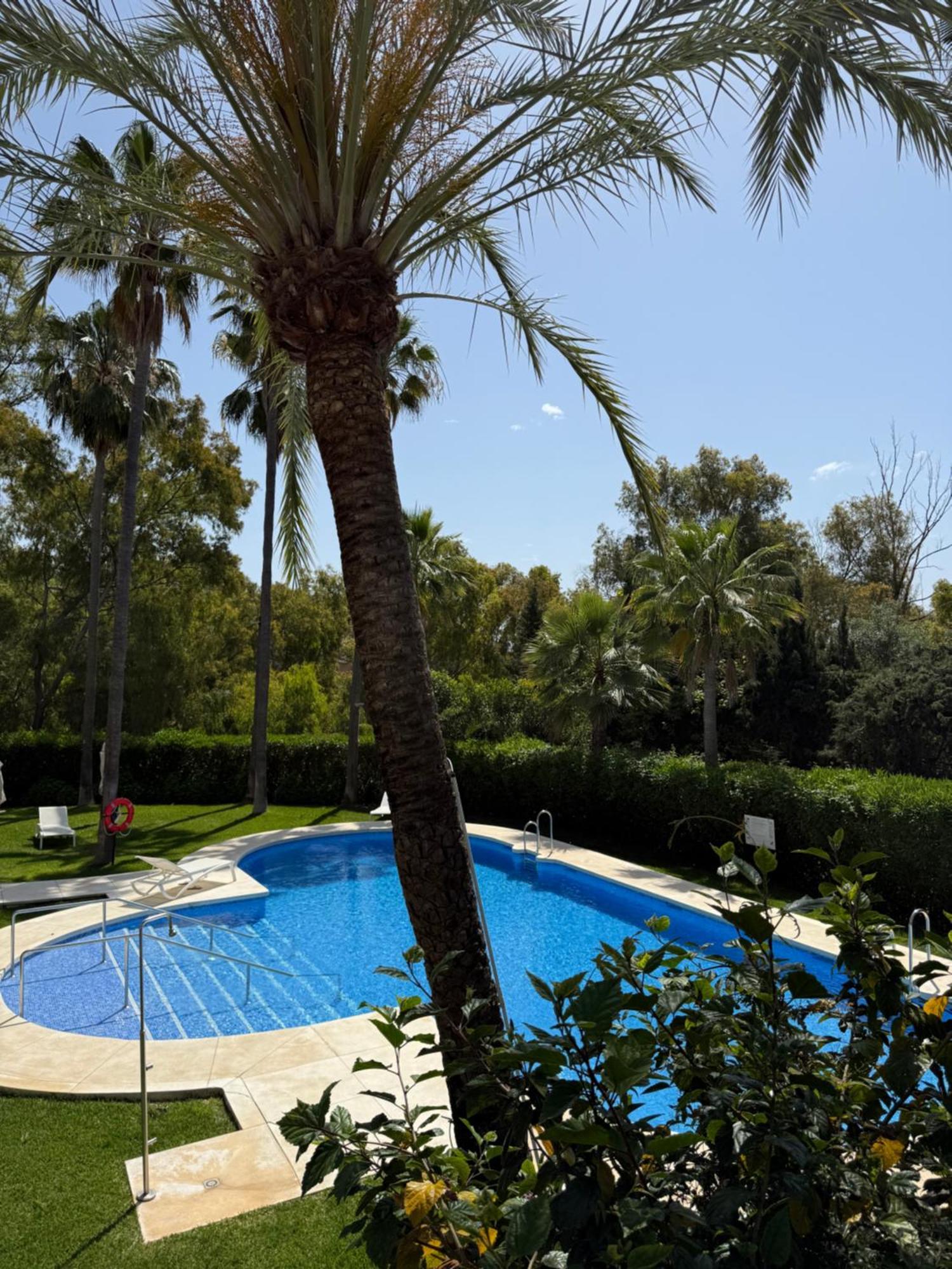 - Puente Area Apartamento